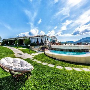 Cento Ulivi B&B